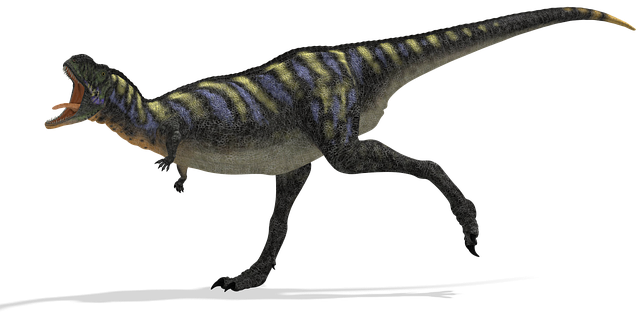 アウカサウルス